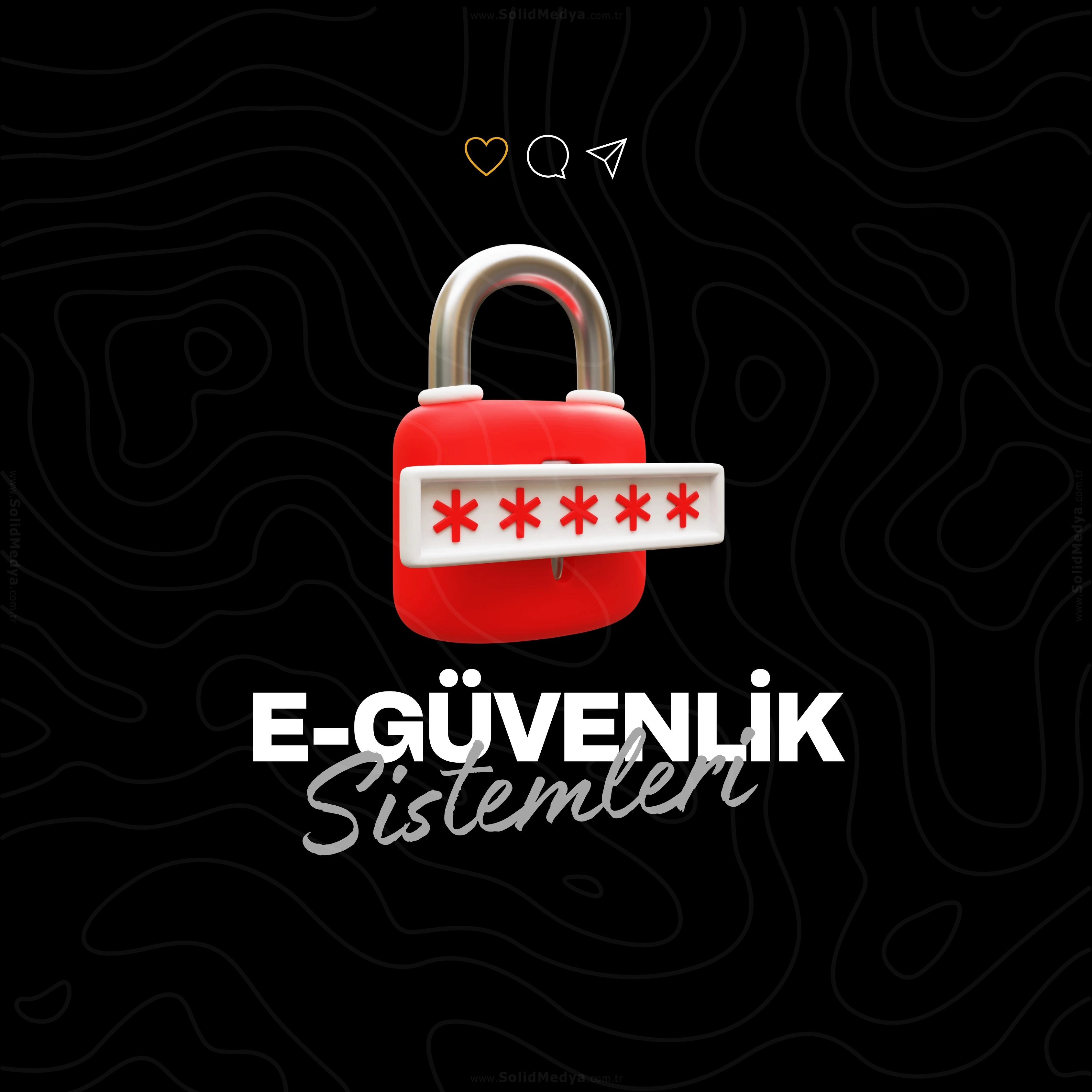 E-Güvenlik Sistemleri